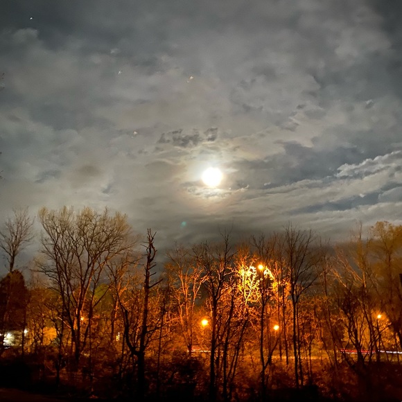 Meet your Posher, Cassie - Picture 16 of 16